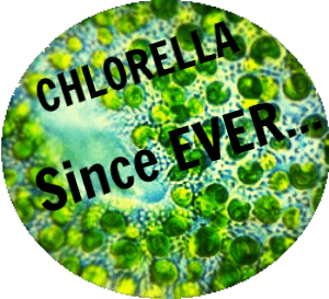 Chlorella is a powerful micro alga on Earth since pre-cambrian times.