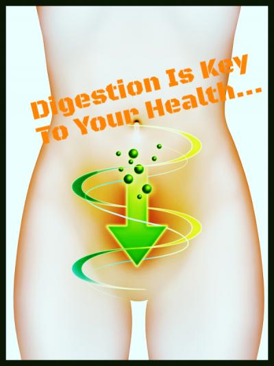 Digestion is key to your health